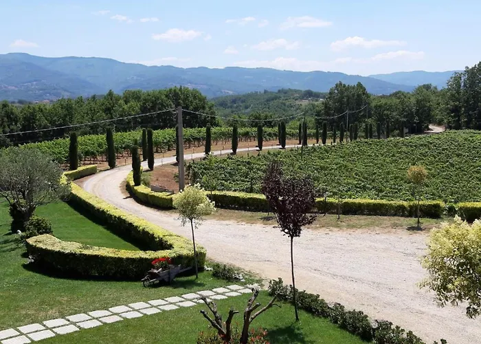 Colle Vermiglio Gospodarstwo agroturystyczne Paterno Calabro